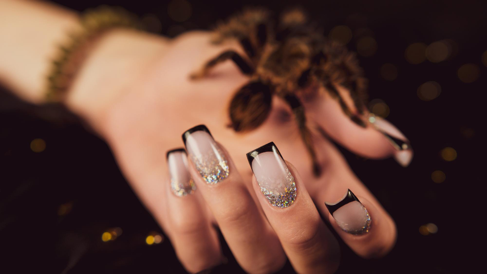 nail salon 31533